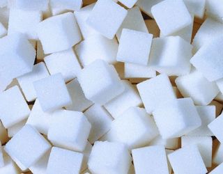 Гнідавський цукровий завод вироблятиме органічний цукор