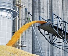 Одеський зерновий термінал планує щомісячно перевалювати 300 тис. тонн