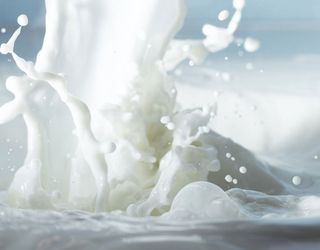 Виробництво молока за вісім місяців скоротилося на 0,9%