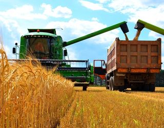 На Запоріжжі зібрано рекордний урожай ранніх зернових