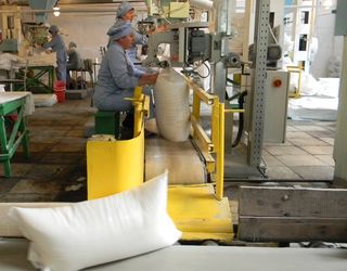 Вінницькі заводи вже виготовили 83 тис. тонн цукру