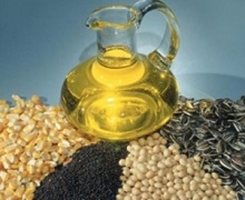 З початку сезону Україна експортувала 1,6 млн тонн олійних культур
