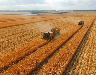 Аграрії зібрали зернові з 13 млн га