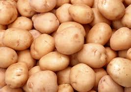 Тільки 3% картоплі в Україні виробляють великі підприємства