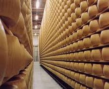 «Молочний альянс» здійснив перші поставки сирів до ОАЕ та США