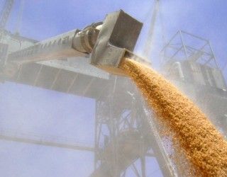Філія «НІБУЛОНу» відвантажила з Луганської області понад 340 тис. тонн зерна