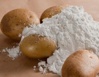 Україна в 2019 році покриє внутрішню потребу в картопляному крохмалі за рахунок власного виробництва