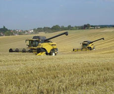 В Україні цілком достатньо зернозбиральної техніки