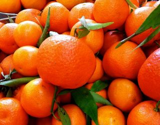 Український T.B. Fruit запустить у Грузії виробництво з переробки мандаринів