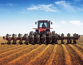 Ранніми зерновими в Україні засіяно 2,1 млн га