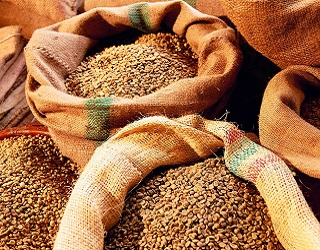З початку сезону експортовано 33,8 млн тонн зерна