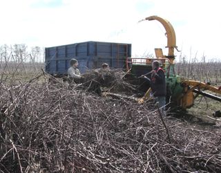 «Блексі Фрут компані» запустить твердопаливний котел на біопаливі з обрізків саду