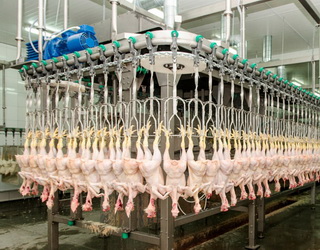 Американська ветслужба оцінить систему держконтролю виробництва м’яса птиці в Україні