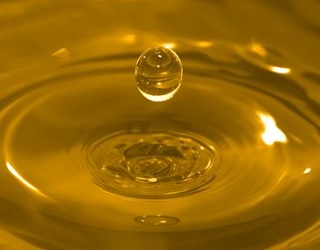 «Укролія» зможе експортувати органічну олію в США