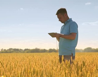 В Україні запустили новий мобільний додаток, призначений для аграріїв