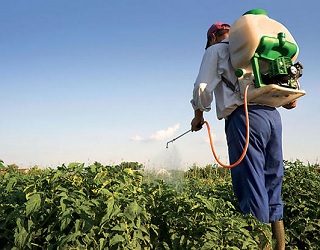 Одеський кооператив втратив 1 тис. га посівів через недбале оброблення пестицидами