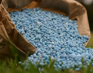 Імпорт калійних добрив в Україну перевищує їх експорт у 23 рази