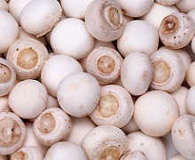В Україні споживають близько 56 тис. тонн грибів