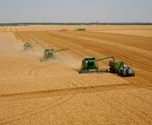 Аграрії Миколаївщини та Одещини зібрали по 1 млн тонн зерна