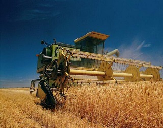 Зібрано 6,2 млн тонн зерна нового врожаю