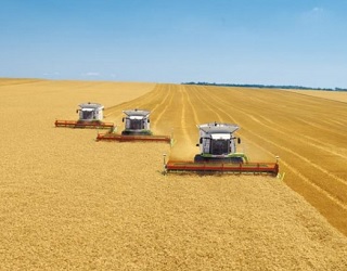 Зібрано 20 млн тонн зерна нового врожаю
