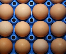 За півроку в Україні виробили на 2,8% яєць більше