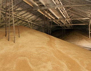 «Прометей» збільшив приймання зернових і олійних на 30%
