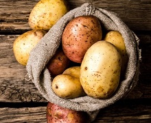 Через веретеноподібності бульб урожайність картоплі падає на 20-80%