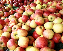 Експорт українських яблук зріс усемеро