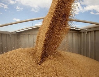 З початку сезону Україна експортувала 7,7 млн тонн зерна