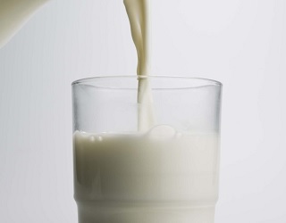 Виробництво молока за вісім місяців зменшилось на 2%