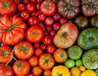 Щоб обрати сорт томатів, слід врахувати місце їх вирощування і мету
