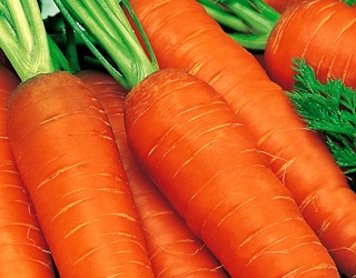 Морква з розсади гірше зберігається