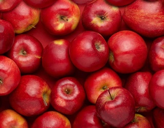 Україна експортувала у вересні на 8% менше яблук