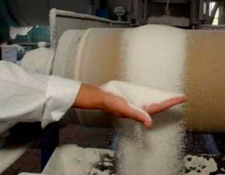 В Україні варять цукор нового врожаю вже 39 цукрозаводів