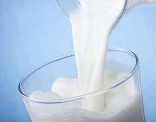 Україна має потенціал для виробництва перспективного молочного продукту