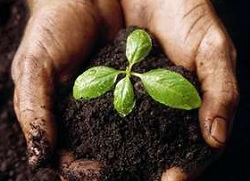 LNZ Group виводить на ринок новий бренд засобів захисту рослин