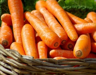 Втрати моркви через ботритіоз зростають під час її зберігання з капустою