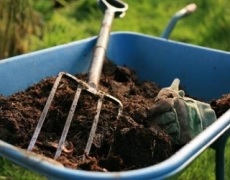 Підвищені дози органічних добрив збільшують уміст нітратного азоту в ґрунті