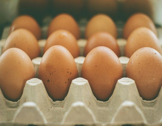 Україна заробила на експорті яєць за 11 місяців на 41% більше