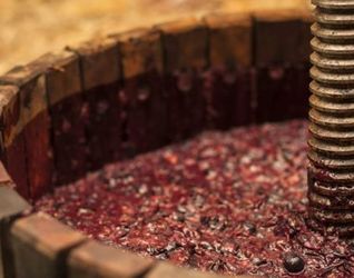 Кальцій знижує кислотність виноградного сусла, що поліпшує якість вина