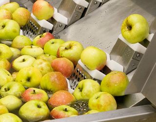 Органічне яблучне пюре має в Німеччині найкращі шанси на зростання