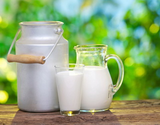 Третина молока, виробленого в господарствах «Астарти» в 2018 році, – екстра-ґатунку
