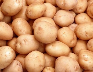 Зберігання картоплі насипом має низку недоліків