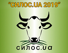 Саміт «СИЛОС.UA 2019»