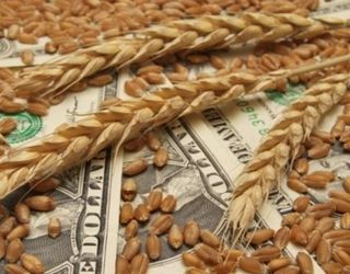 «Аграрний фонд» у межах весняного форварду закупить зерна на 2,5 млрд грн