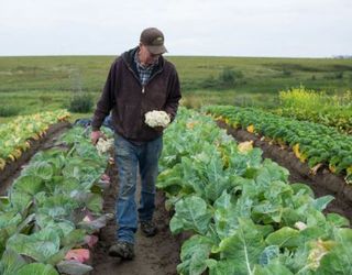 Кабмін розширив напрями підтримки  фермерських господарств і сільгоспкооперативів
