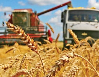 Аграрії зібрали 1,6 млн тонн зерна нового врожаю