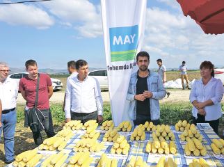 День поля «МАЙ Сід» у Туреччині