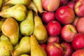 Серед плодоовочевої продукції Україна найбільше експортує в ЄС яблука і груші